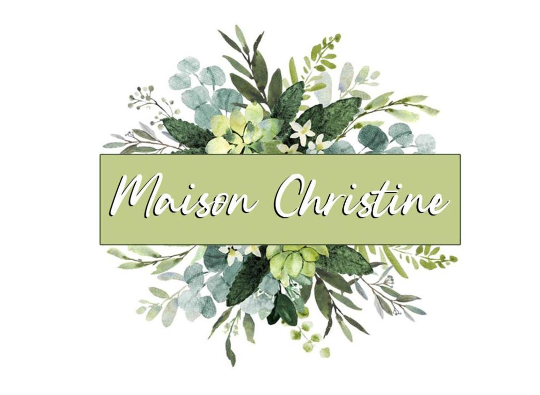Maison Christine Torino Kültér fotó